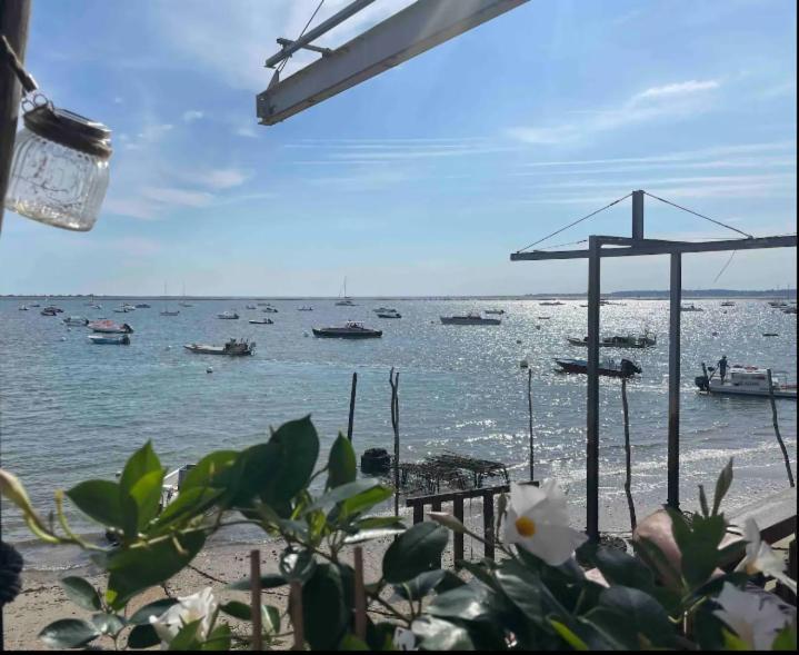 A La Brise Du Ferret Hotel Lège-Cap-Ferret Buitenkant foto