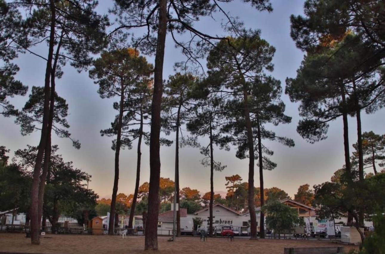 A La Brise Du Ferret Hotel Lège-Cap-Ferret Buitenkant foto
